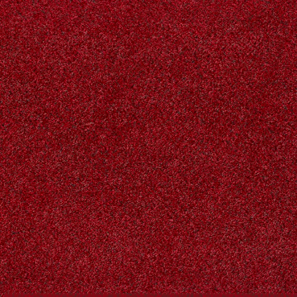 My Rug Red