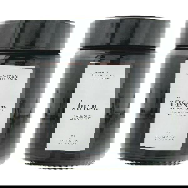 The Olphactory Forever Citrus  Shades Scented Candle 360g