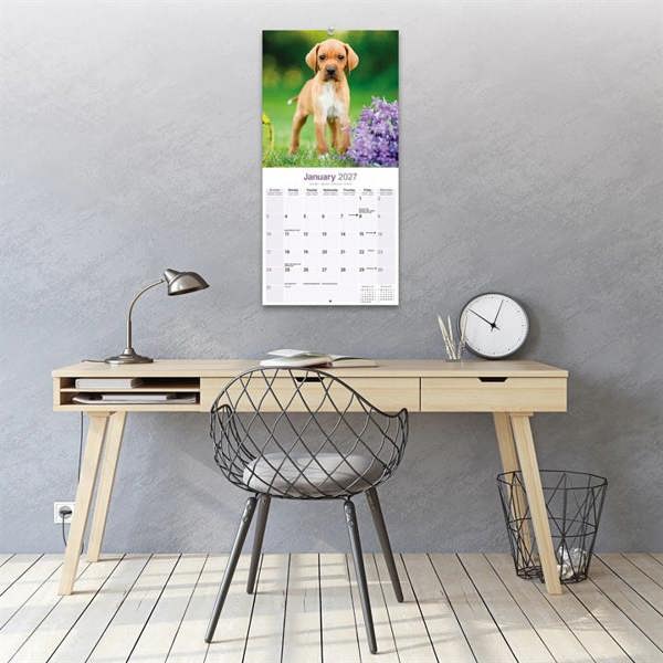 Pointer Calendar 2027, Wall Calendars, Month To View, Dogs, Gift