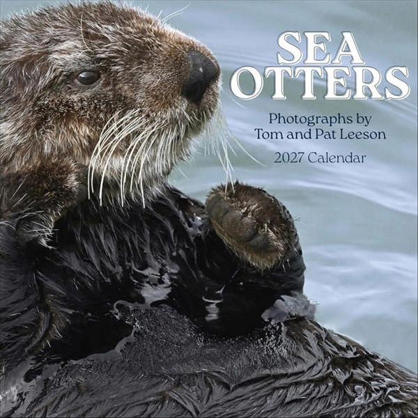 Unbranded Sea Otters Calendar 2027, Wall Calendars, Month To View, Animals, Gift