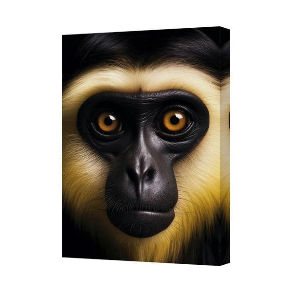 Benjamin Tate Design Mandrill Close Up Canvas Wall Art Portrait Home Decor