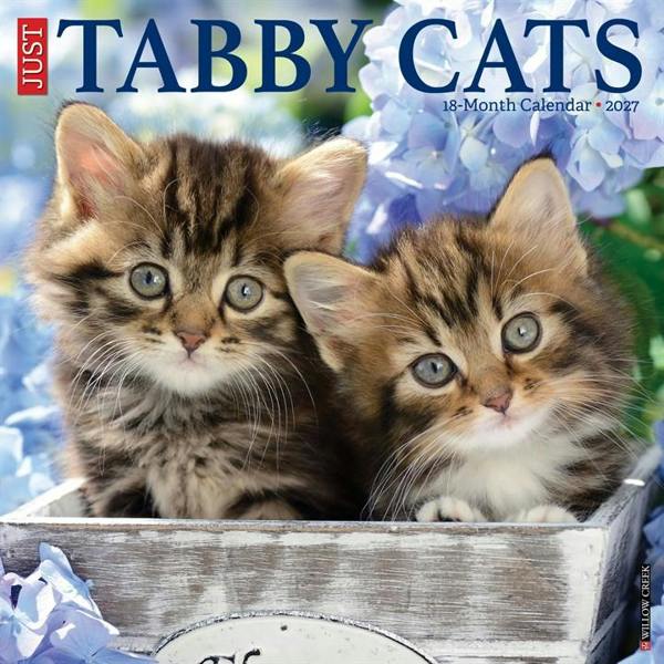 Just Tabby Cats Calendar 2027, Wall Calendars, Month To View, Cats, Gift
