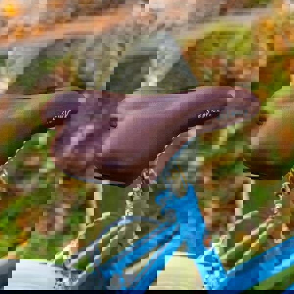 Elswick Cherish 20" Kids Heritage Bike