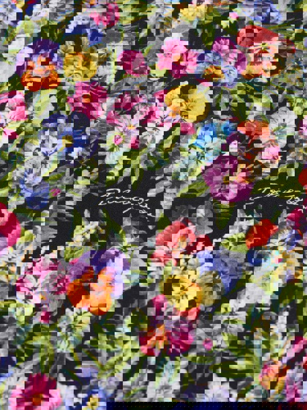 Dolce & Gabbana Kids Dolce & Gabbana Girls Floral Print Top in Multicolour