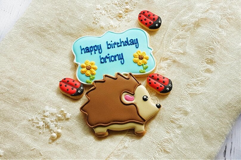 The Cookie Collaboration Hand-iced Personalised Hedgehog Cookie LETTERBOX GIFT/Birthdays/Get well soon
