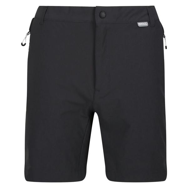 Regatta Mens Mountain II Shorts - Ash/Black - 