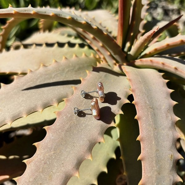 Pair of pink pearl stud earrings on an aloe vera plant.