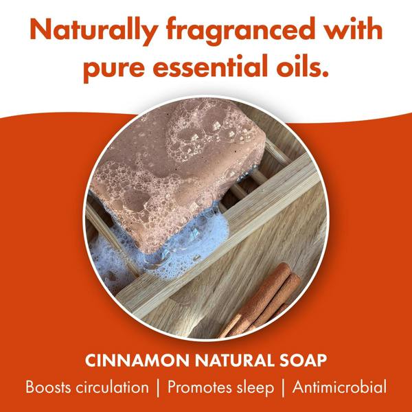 Friendly Soap 3 Pack - Natural Soap - Cinnamon