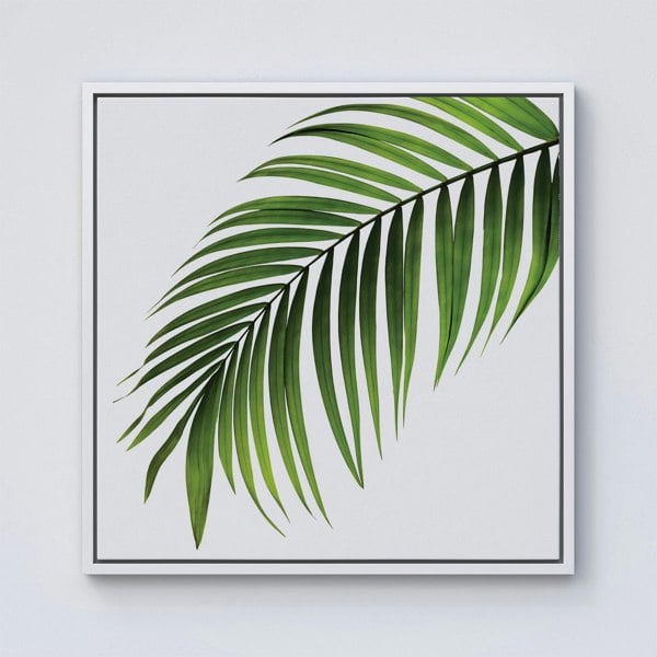 Warren Reed Single Palm Leaf Framed Canvas