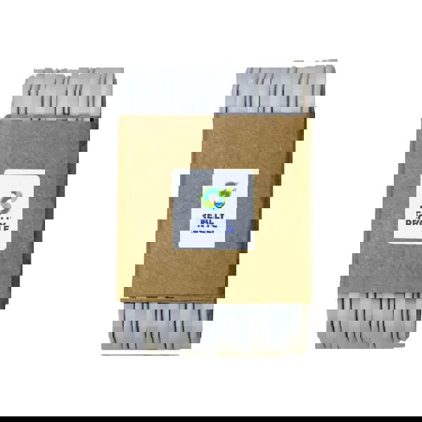 Oversized Paper Clips (Pack of 10)