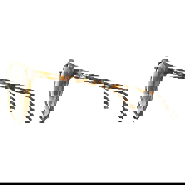 Polaroid Sunglasses PLD 6003/N/S V08 LA Havana Brown Gradient Polarized