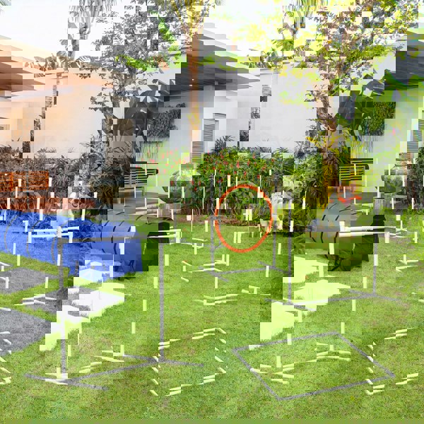 D07-038V01BU