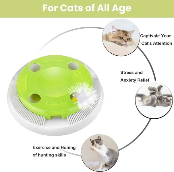 Dragodirect 8-Hole Interactive Cat Whack-a-Mole Toy Hunting Game with Feather & Mouse