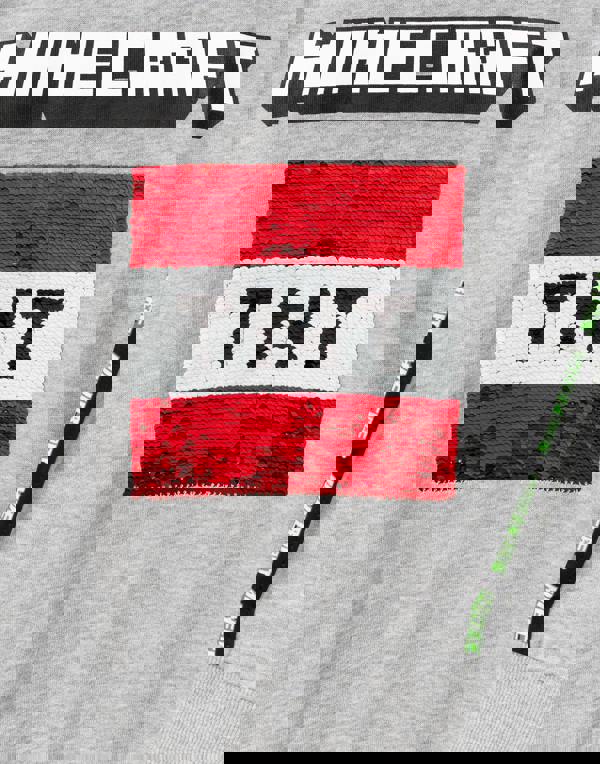 Minecraft Unisex Kids Grey Creeper & Tnt Sequin Panel Sweatshirt