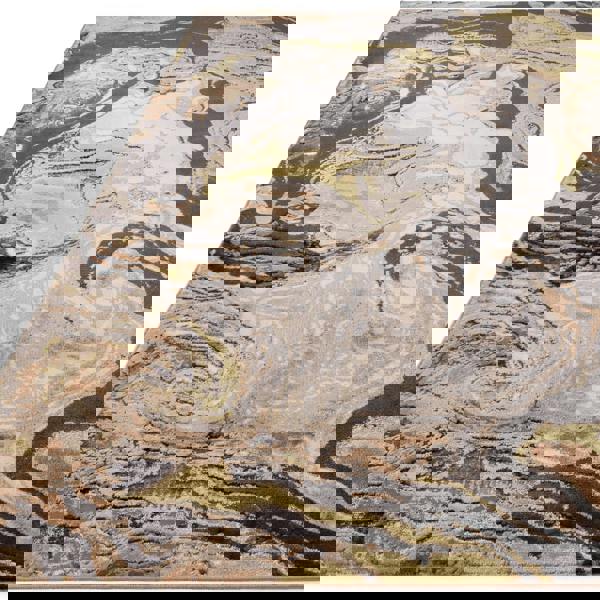 Asiatic Aurora AU08 Marble Rug