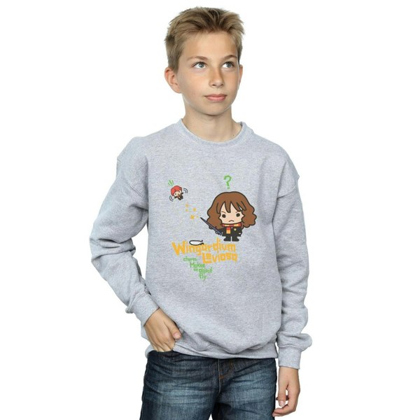 Harry Potter Boys Wingardium Leviosa Hermione Sweatshirt - Sports Grey