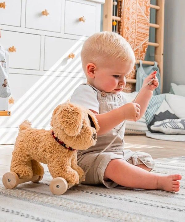 Dog pull toy with child