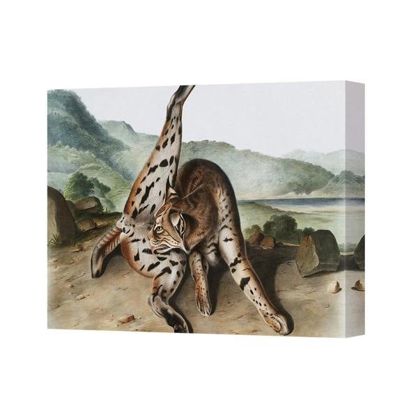 Benjamin Tate Design Two Leopards On Rock Canvas Wall Art Print Dramatic Wildlife Scene