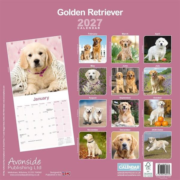 Golden Retriever Calendar 2027, Wall Calendars, Month To View, Dogs, Gift