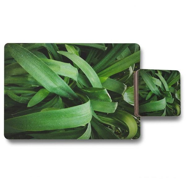 Benjamin Tate Design Tropical leaves closeup, Greenhouse, Atmospheric background, Selective focus (Placemat & Coaster Set)