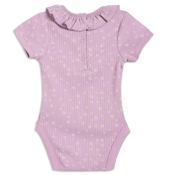 Mini Cuddles Baby Girls 3pk Floral Printed Bodysuits, Multicolour