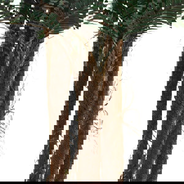 Artificial Palm Tree with Polyester Material and Bendable Stems Artificial Plants Living and Home