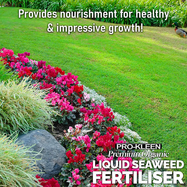 ProKleen Pro-Kleen 10L Liquid Seaweed Fertiliser Ascohyllum Seaweed Extract for Grass Vegetables Fruit Flowers Shrubs Lawns Trees