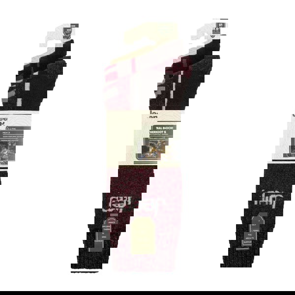 t4option1_0