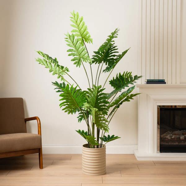 Scottish Everlastings 175cm Real Touch Philodendron Tree