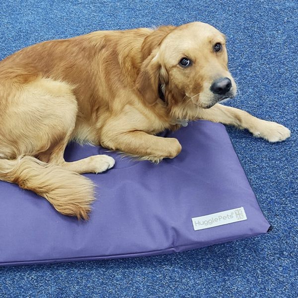 HugglePets Waterproof Dog Mat Cushion - Blue