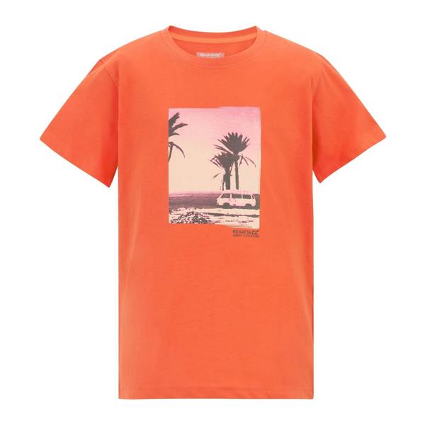 Regatta Childrens/Kids Bosley Palm Tree T-Shirt - Rusty Orange - 