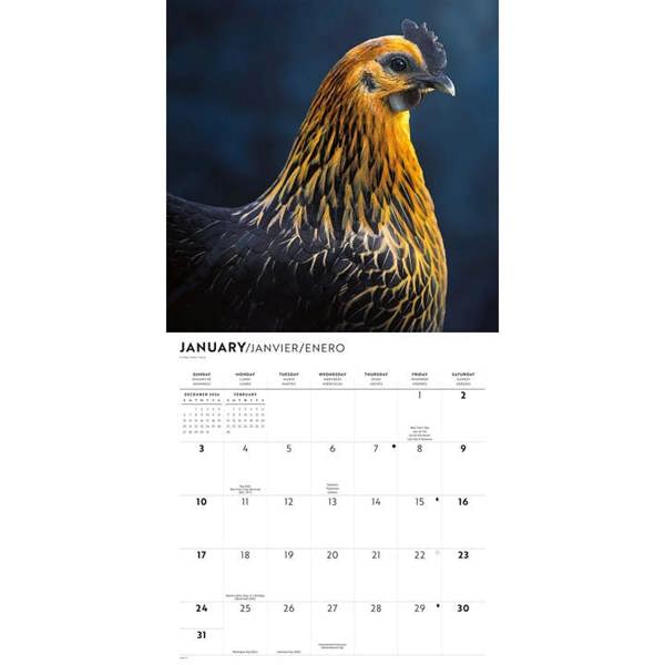 Chickens Calendar 2027, Wall Calendars, Month To View, Animals, Gift