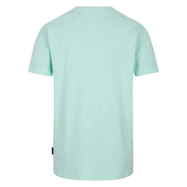 Dare 2B Childrens/Kids Trailblazer II Tiger T-Shirt - Mint Green