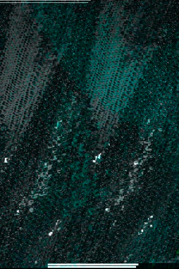 Liquid Sequin Jumpsuit With Corsage - Emerald Green TR380