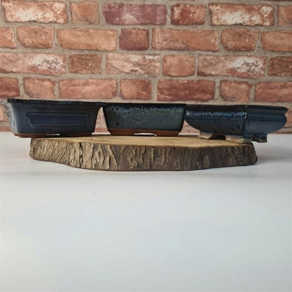 Yorkshire Bonsai CLEARANCE 15cm Glazed Bonsai Pot | Rectangle | 15cm x 10cm x 6cm | Blue