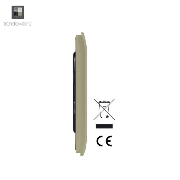 Trendi Switch Single Blanking Plate in Champagne Gold
