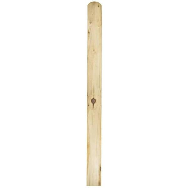 Snowdon Timber Treated Round Top Picket Fence Board (T) 20mm (W) 95mm (L) 1.2m