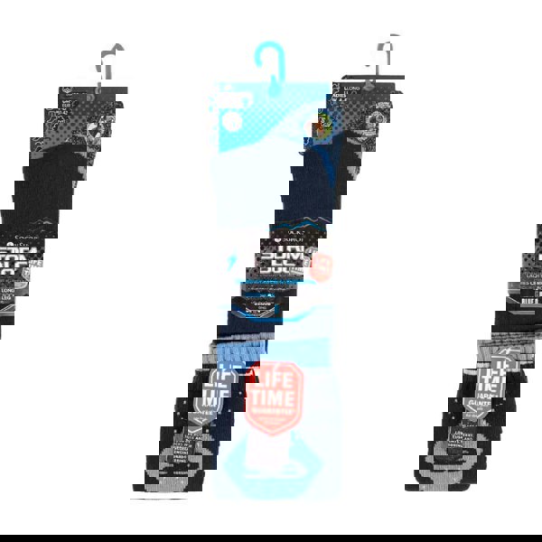 t4option1_1