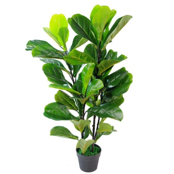 Leaf 90cm Leaf Design UK Artificial Realistic Plant Fiddle Fig Tree