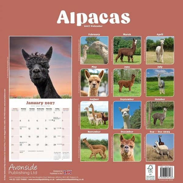 Alpacas Calendar 2027, Wall Calendars, Month To View, Animals, Gift