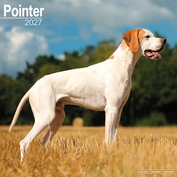 Pointer Calendar 2027, Wall Calendars, Month To View, Dogs, Gift