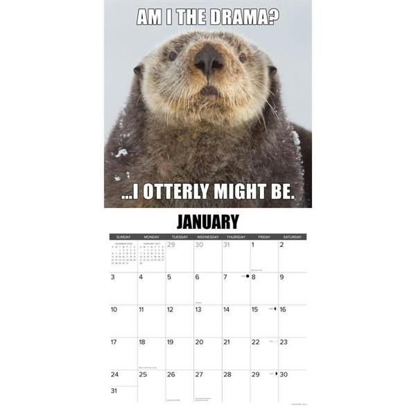 In Otter News Calendar 2027, Wall Calendars, Month To View, Animals, Gift