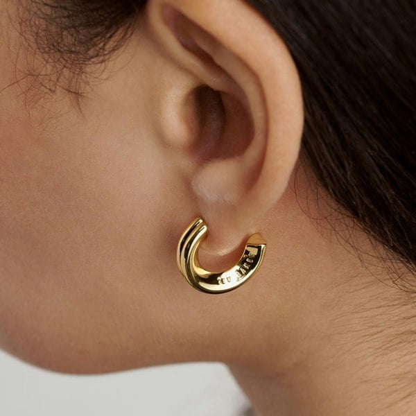 Ted Baker Hilya Gold Tone Half Hoop Earrings TBJ4055-02-03