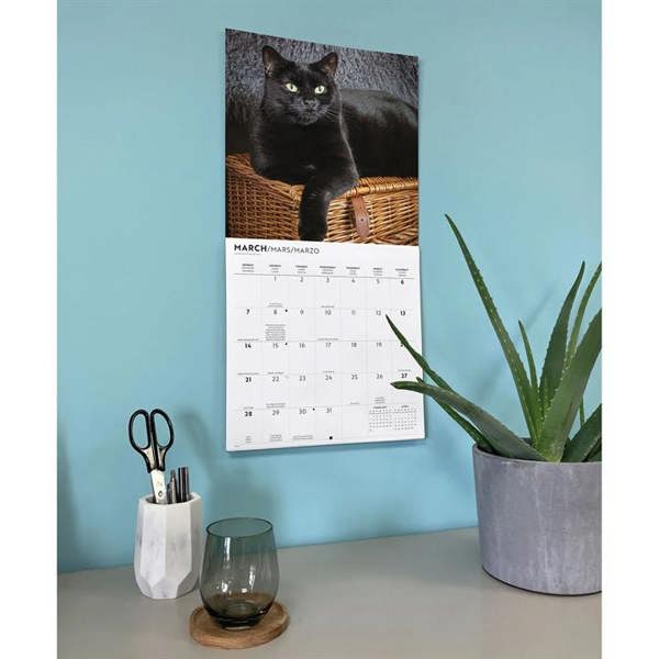 Black Cats Calendar 2027, Wall Calendars, Month To View, Cats, Gift