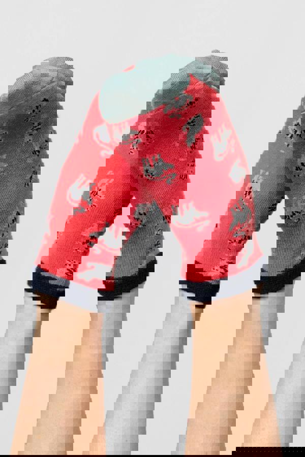 Lily & Me Claudia Cat Trainer Socks