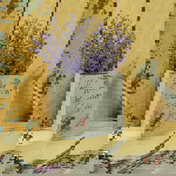 Personalised Memento Company Personalised Robin Memorial Concrete Plant Pot