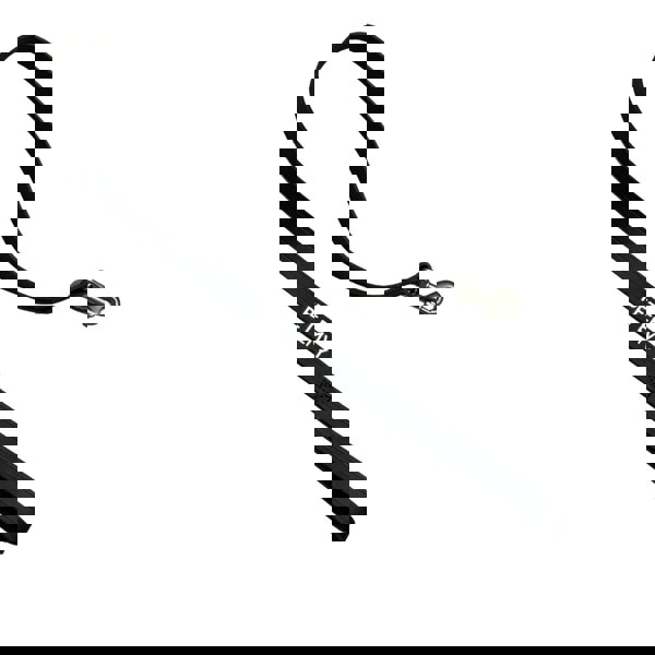 Pet EMVY Genuine Leather Dog Lead – Classic Black