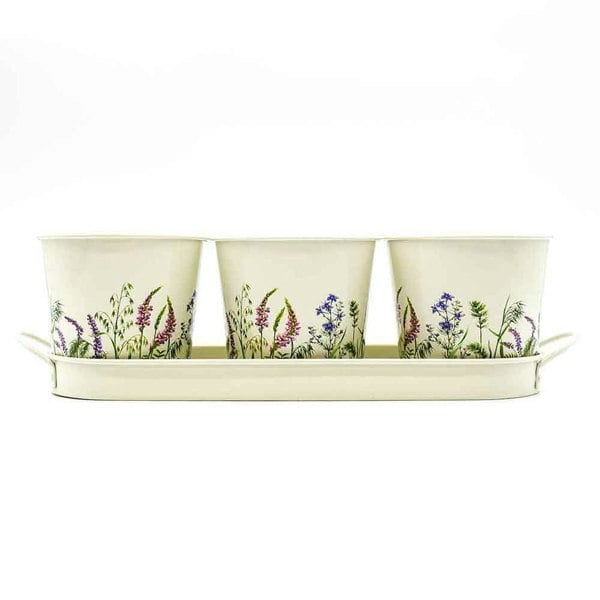 The British Gardening Company Set of 3 Wildflower Design Metal Planters with Tray