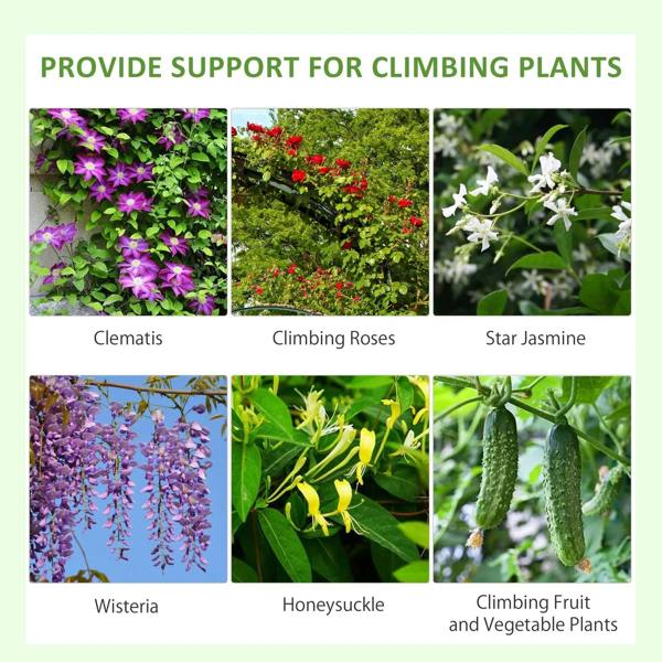 Collage of climbing plants for trellis support, including clematis, climbing roses, and star jasmine