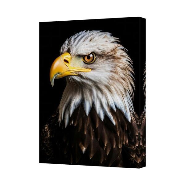 Benjamin Tate Design Eagle Head Canvas Wall Art Print Bird Portrait 6803